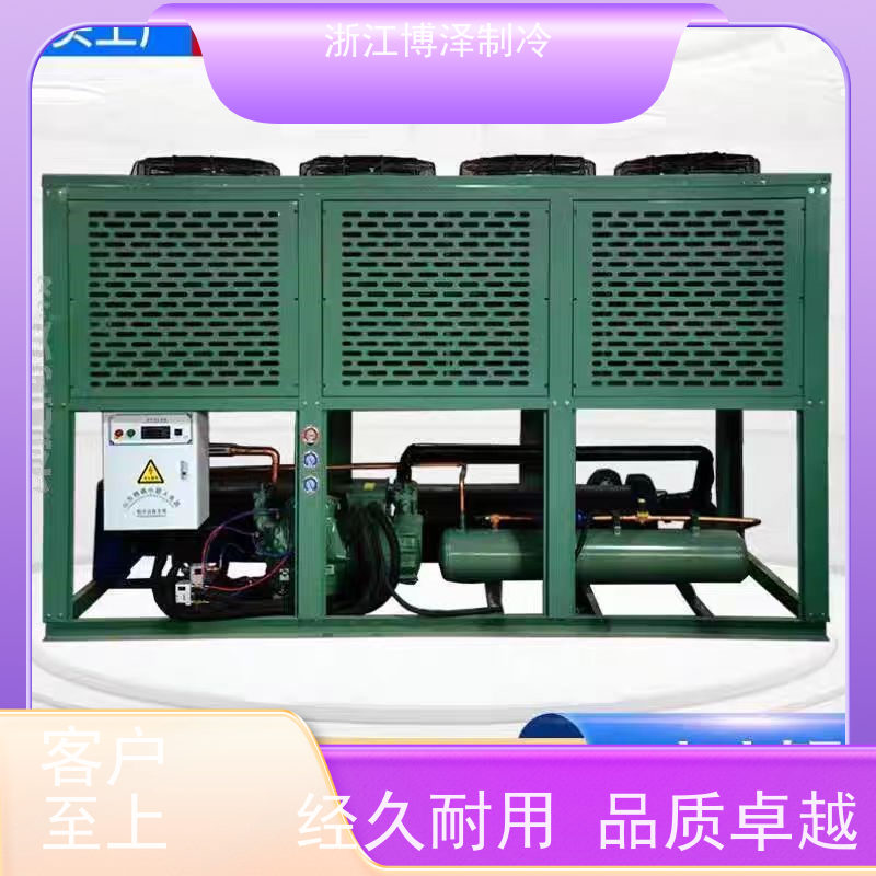 卡仕德制冷CASTDEL 半封闭箱式冷凝机组   材质优选 大四缸低温4G-30.2 按需定制