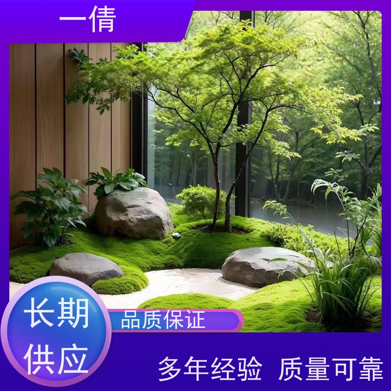 一倩花卉 苹果树 绿植租赁 规格齐全