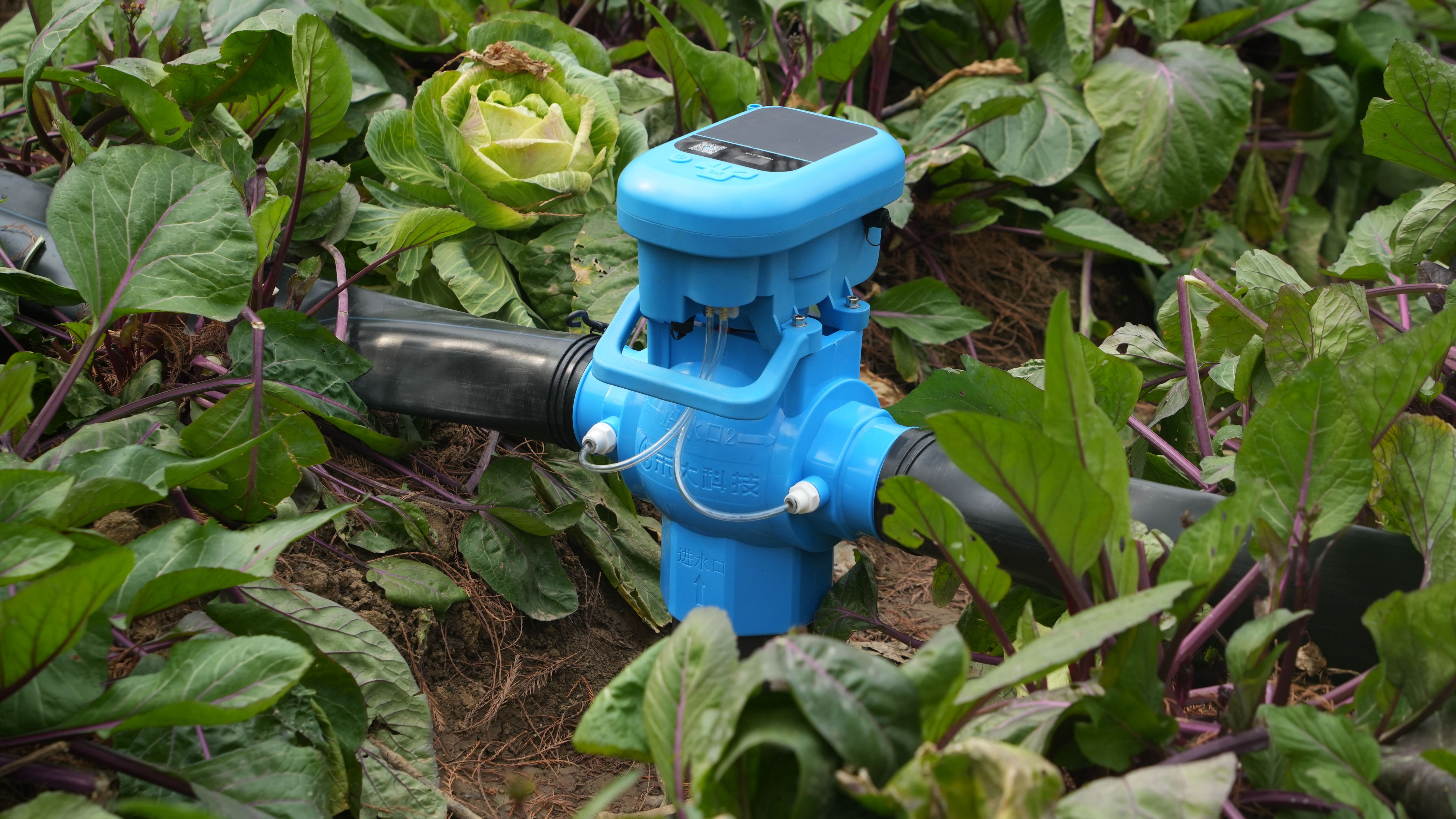 田小二Q3-2025数字智能灌溉阀