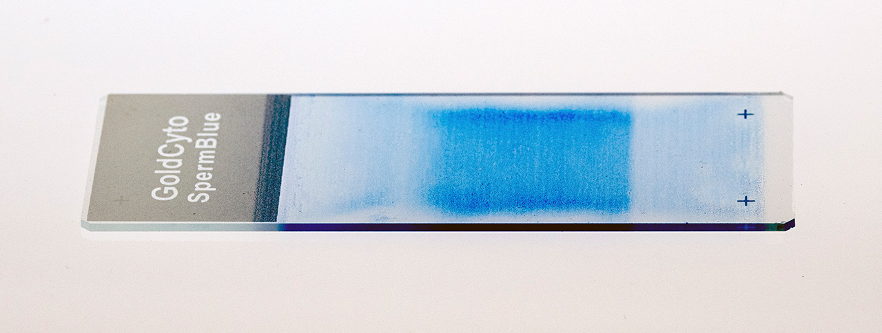 厂商西班牙SCA精子形态染色分析玻片SperwBlue