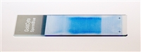 西班牙SCA精子形态染色分析玻片SperwBlue