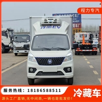 3米3冷藏车 福田祥菱V1 厢式 C照可驾驶 可出口 鲜花冰块冷链车