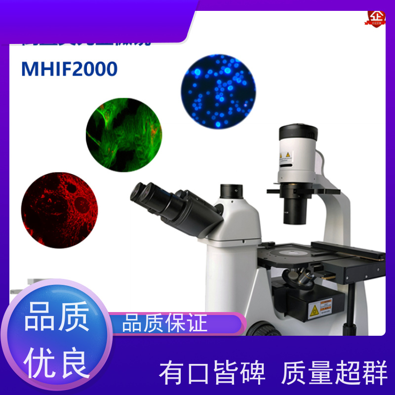 明慧 广州 活体组织观察 国产 荧光相差显微镜