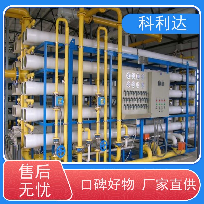 科利达 医药纯化水设备 经久耐用 自动反洗 RO系统