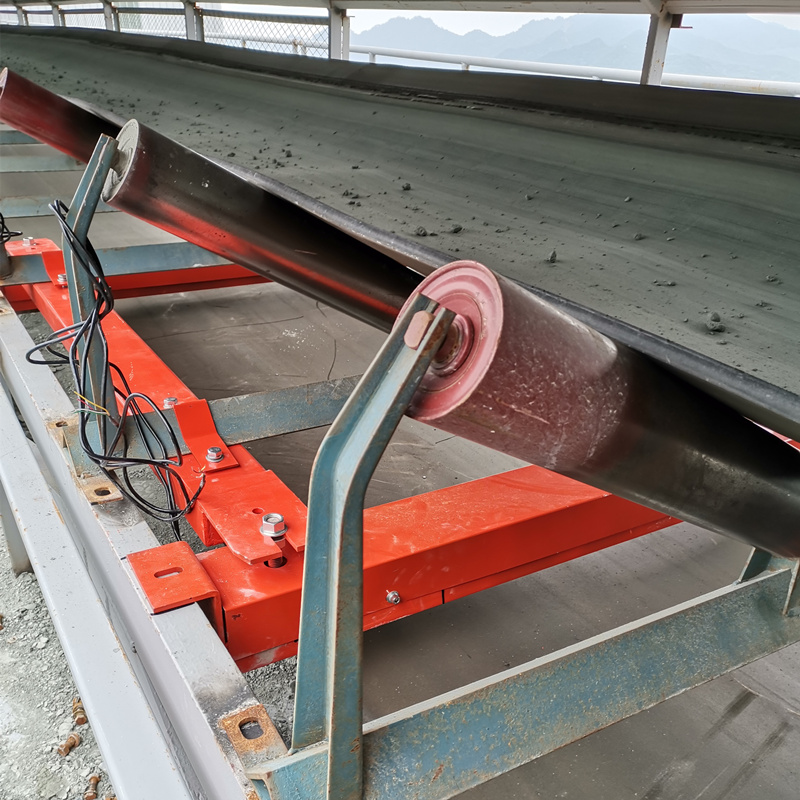 8组称重单元皮带秤  化工厂适用，高精度称重仪表