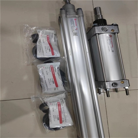 NORGREN无杆气缸PRA/882080/MIB/M3/100