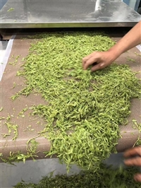 枸杞芽茶微波杀青机  从鲜叶到精茶，微波技术让茶厂跳过5年经验壁垒