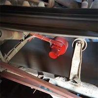 定西市电子皮带秤  杠杆式  碳钢材质