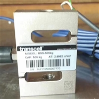 河北皮带称  浮衡秤体/高精度仪表/ICS17B型