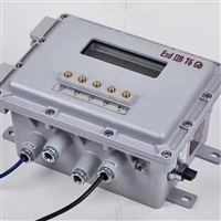 河北皮带秤  浮衡秤体/高精度仪表/QXF-2T型