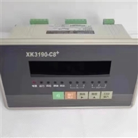 河北皮带秤  浮衡秤体/彩屏仪表/QXF-2T型