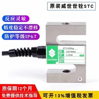 河北电子皮带秤  浮衡秤体/物联网仪表/ICS14A型