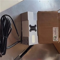 河北电子皮带秤  浮衡秤体/物联网仪表/ICS17B型