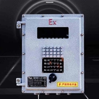 太原高精度皮带秤-阵列皮带秤-长期0.2%误差