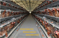 喜德评估机构无证房屋价格评估