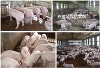 普格评估机构无证房屋价值评估