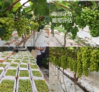 金阳评估机构无证房屋损失评估