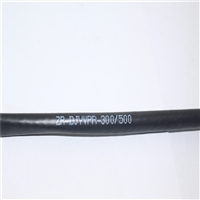 DJYVP2*2*0.75计算机仪表控制线定制