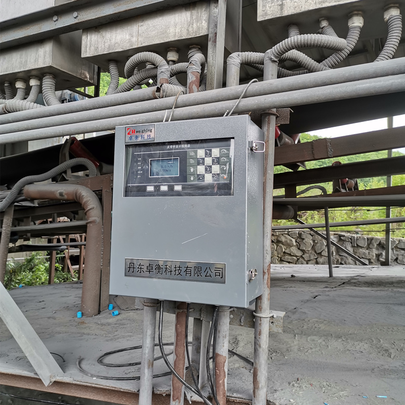 沈陽高精度計量皮帶秤 選礦行業優先選擇