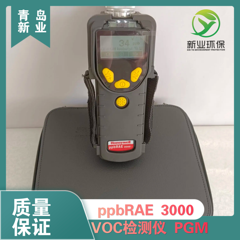 ppbRAE3000VOCPGM7340便携式检测仪手持式环境检测监测