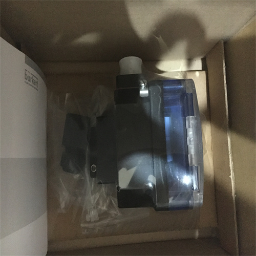 常见故障BURKERT宝德气动角行程执行机构214533