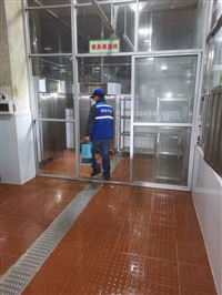 花都杀虫公司 宿舍杀臭虫 灭蚊
