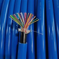 矿用通信电缆MHYAV20*2*1/0.8电话线