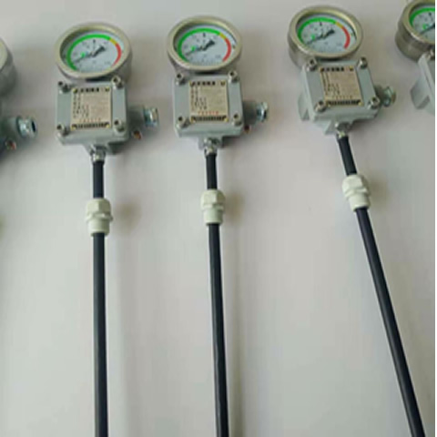 WTZd-285z防爆仪表耐高温防爆磁干扰