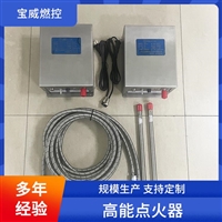 BWGD-20C高能点火设备/高能点火装置 304不锈钢材质