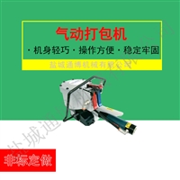A333塑钢带免扣打包机 铁皮打捆机支持加工定制