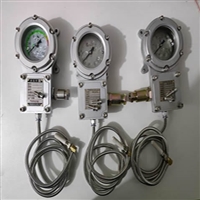 BWTY-205Z防爆仪表经得起第三方检测