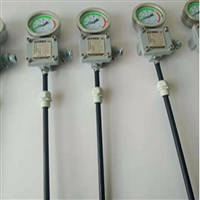 WTZd-285z防爆仪表耐高温防爆磁干扰