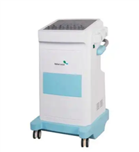 低频脉冲治疗仪CP-I