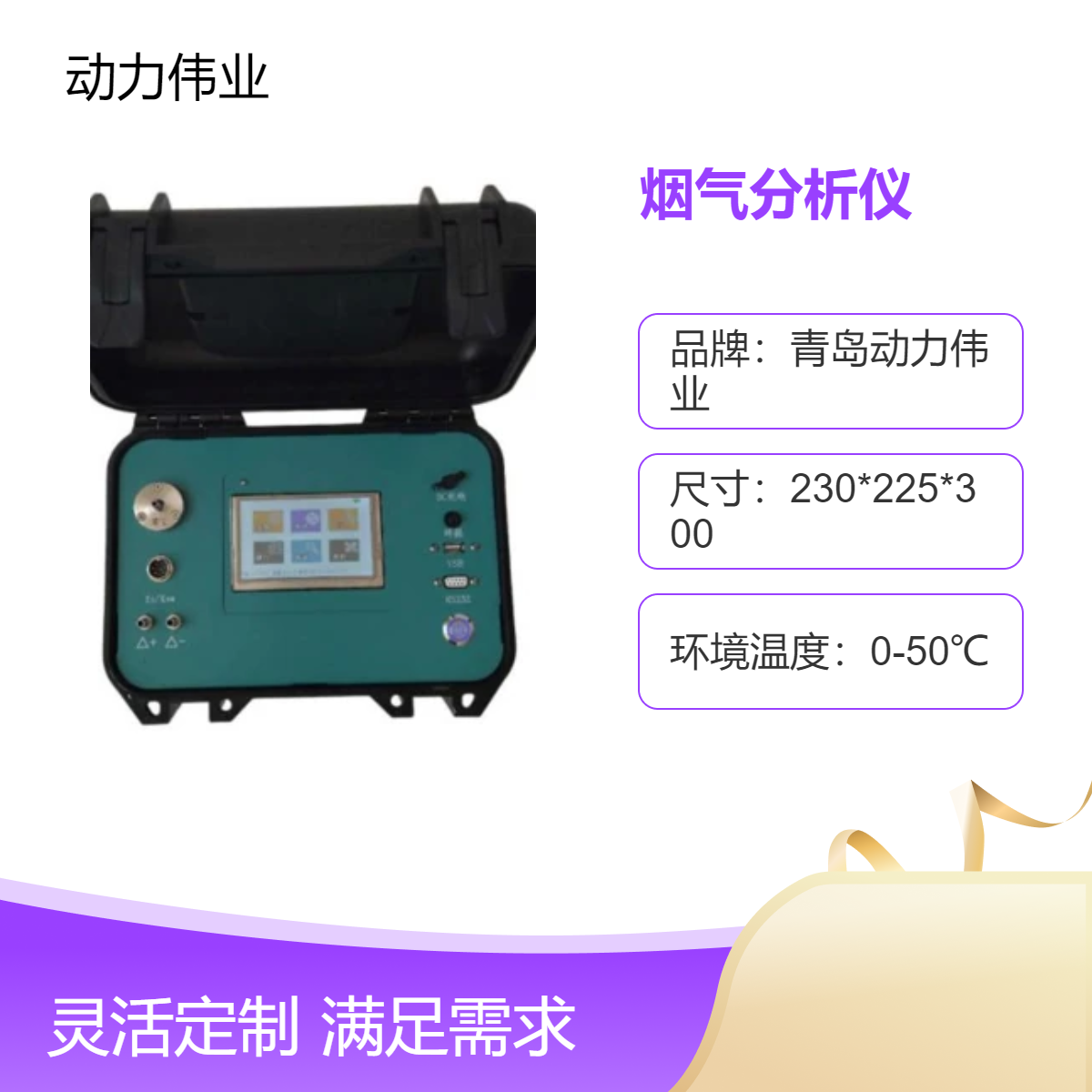 氧气一氮二氮二硫 DL-6310型便携式烟气分析仪 内置电源