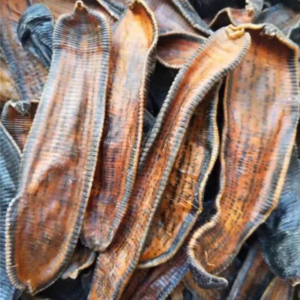 精选晒干中药材水蛭蚂蟥蛭蝚 无硫无添加 品质干净 仓库直发