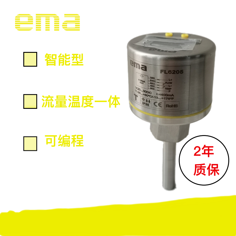 EMA伊玛温度流动一体式传感器 FL6205