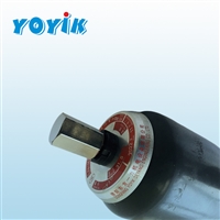 OPC电磁阀线圈Z2804076电磁阀用东方一力供应发电机组控制电磁阀启闭