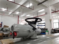 罗托克电动执行器iq20 F14 非侵入式电动执行机构