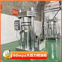 芝麻香油机 榨油坊芝麻榨油设备 60mpa大压力液压榨油机厂家