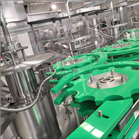 人参饮料生产设备 枸杞保健饮料加工设备 果汁饮料灌装生产线