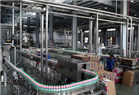 低温发酵杨梅酒设备生产线 保留VC与果香 304不锈钢发酵罐