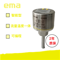 EMA伊玛温度流动一体式传感器 FL6205