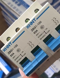 BJMB1-63+BJMB1LE-50/250V/16A低压断路器说明书PDF版