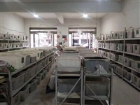 矮生草花品种蓝花亚麻种子批发