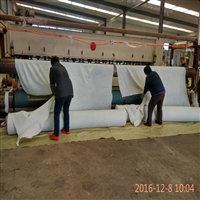江西一布一膜700克(150/0.4/150)农业水池防水土工布