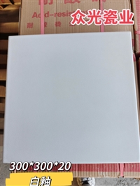 众光釉面耐酸砖展示图