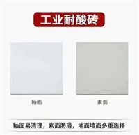 焦作众光全瓷耐酸砖200素面