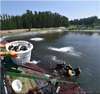 冕宁评估机构农村房屋损失评估