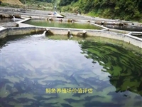 冕宁评估机构火灾毁坏财物价格评估