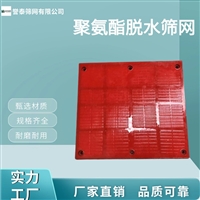 誉泰供应洗沙聚氨酯筛板 高韧性高频脱水筛网 支持定做